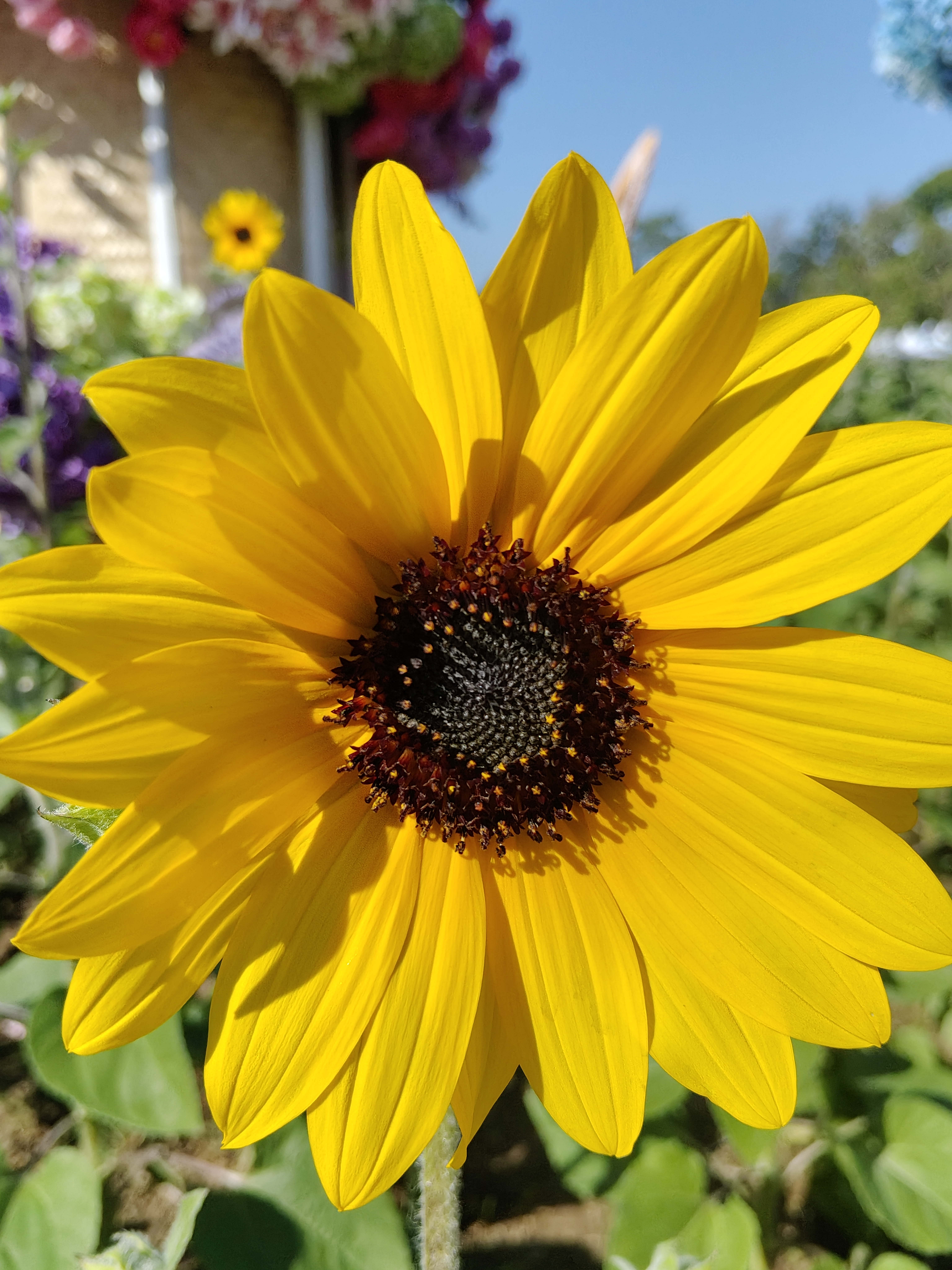 รูปภาพแกลเลอรี 2